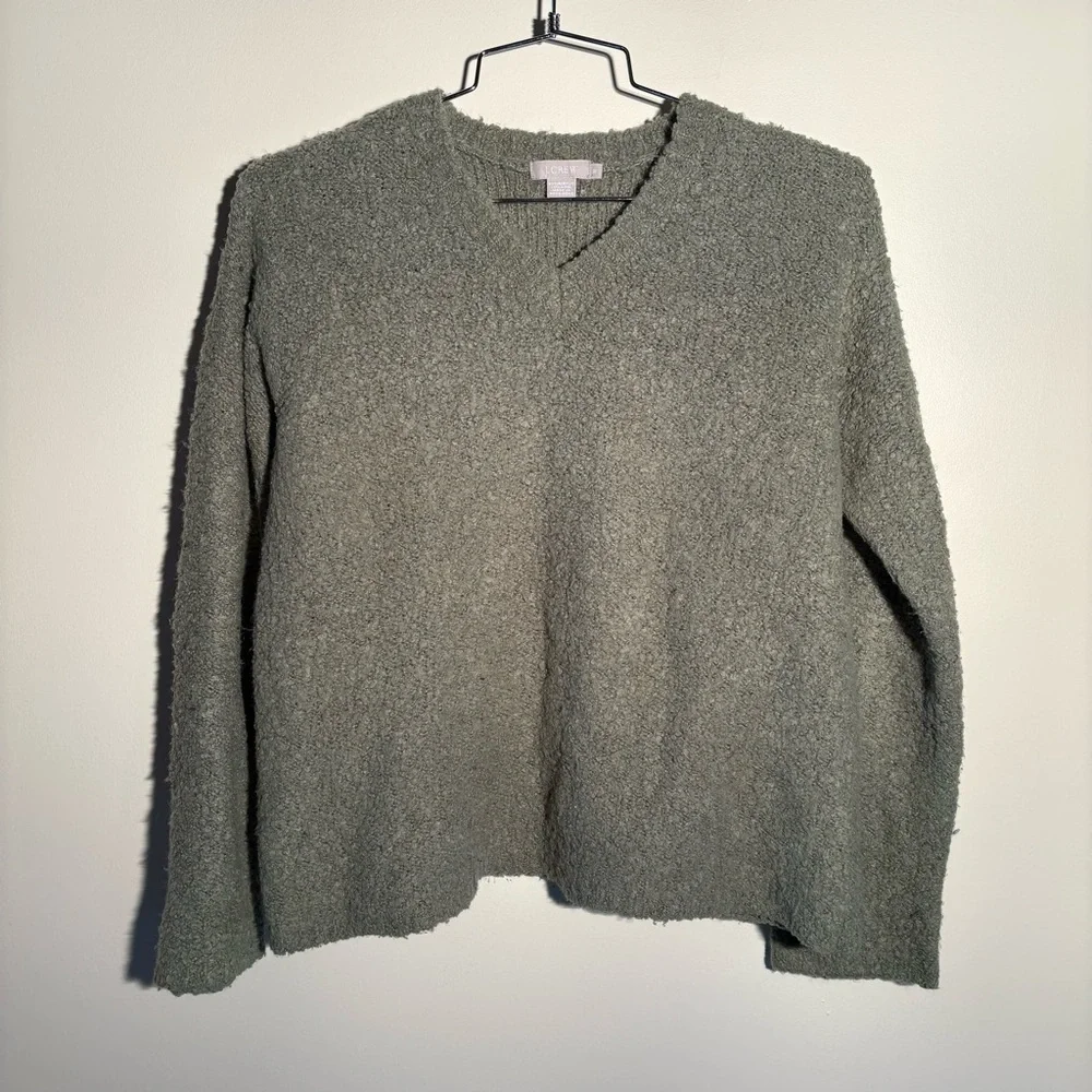 J. Crew Wool Blend Fuzzy V-Neck Sweater